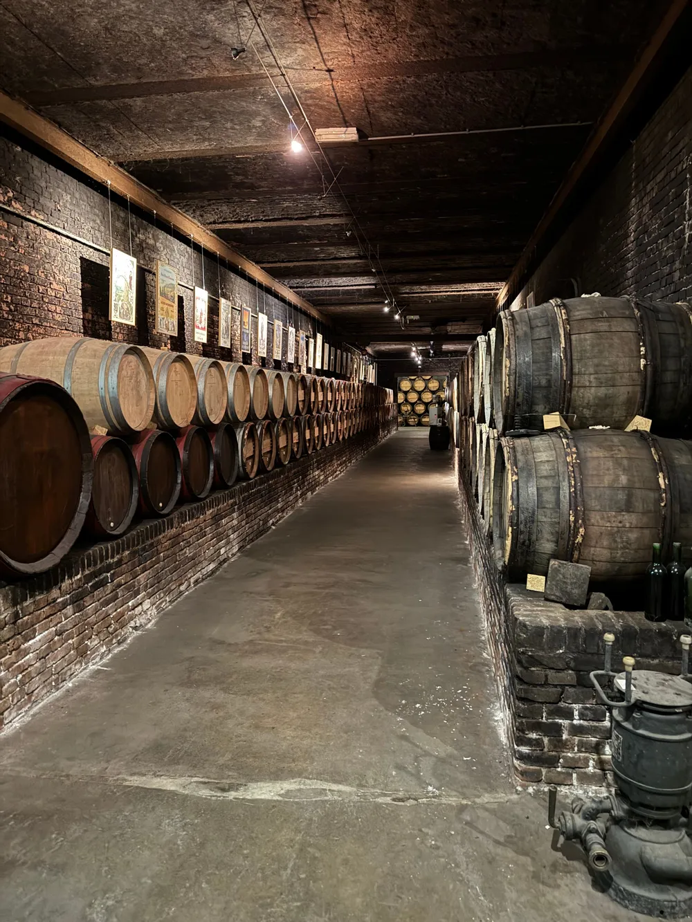 Cave à vin avec fûts de chêne en Bourgogne