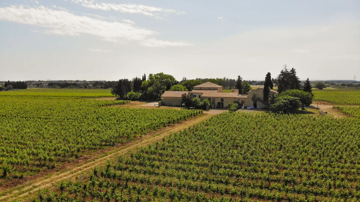 Domaine viticole vu du ciel pour séminaire