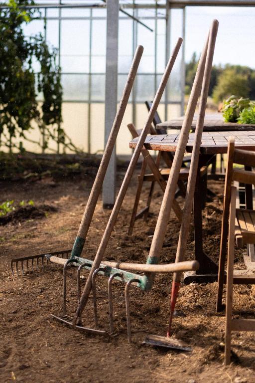 Outils de jardinage à la ferme pour séminaire d’entreprise
