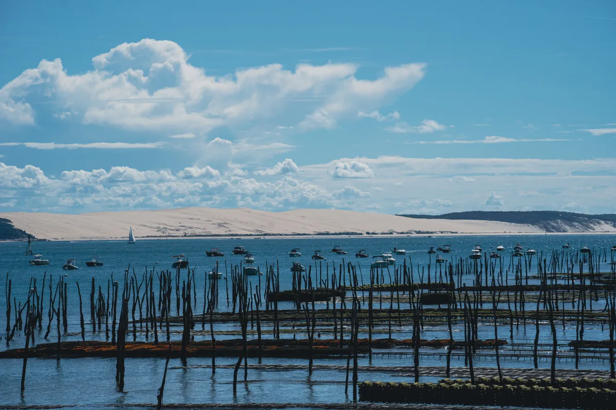 Paysage des fermes ostréicoles et des bateaux dans le bassin d'Arcachon, France.