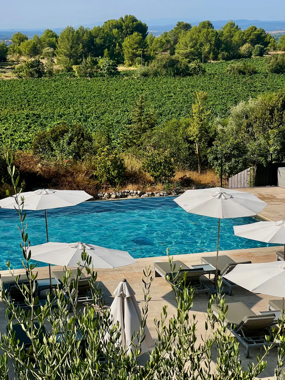 Piscine et vignoble d’un mas pour séminaire en Provence