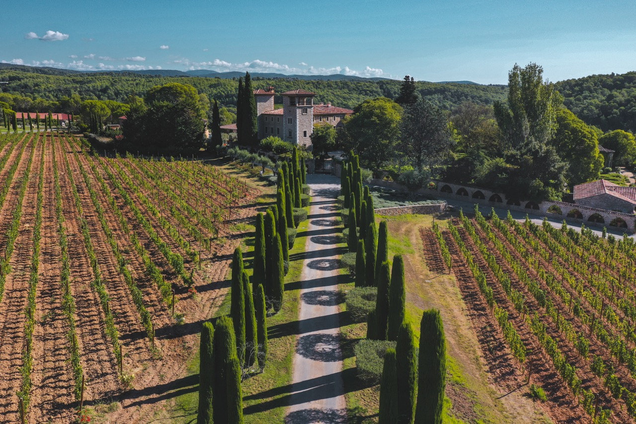 Allée de cyprès menant à un domaine viticole