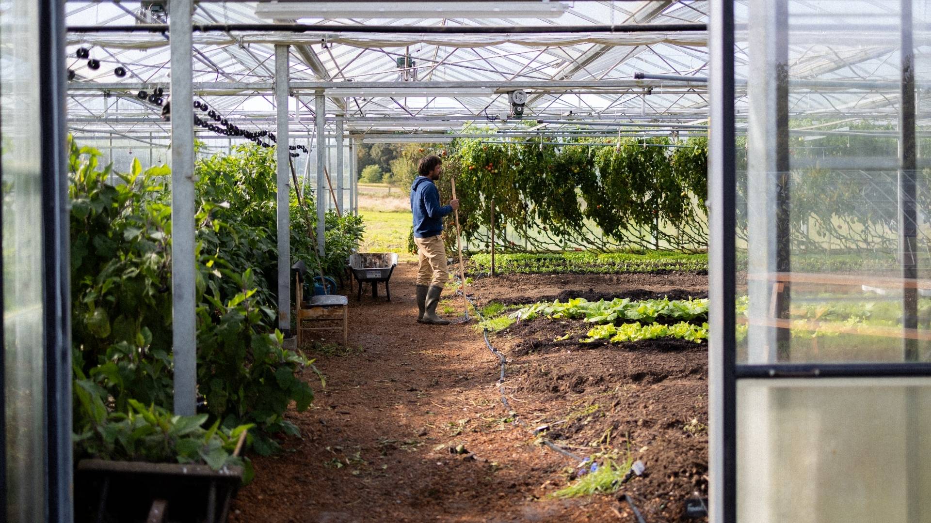 Producteurs partenaires TerraGo